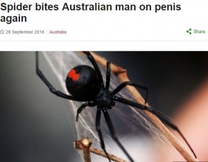 【海外発！Breaking News】猛毒・セアカゴケグモに2度も局所を噛まれた男性（豪）