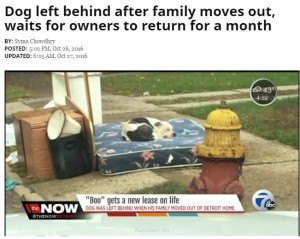 【海外発！Breaking News】引っ越しで置き去り　ご主人の帰りを信じる犬　廃棄処分の家具に寄り添い1か月（米）