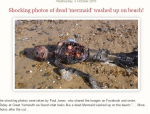 【海外発！Breaking News】英・東海岸に「人魚」の死体　発見者による自作自演のホラー作品か