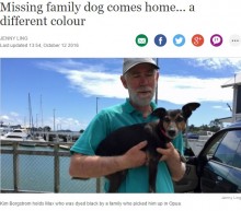 【海外発！Breaking News】毛を黒く染められ捜索困難に　行方不明の犬やっと飼い主のもとへ（NZ）