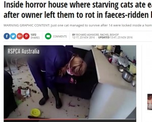 【海外発！Breaking News】ネコ14匹を室内に閉じ込め放置　共食いで多くが食べ尽くされる（豪）