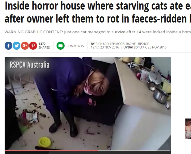 14匹のネコが空腹のあまり共食い、13匹が死亡（出典：http://www.mirror.co.uk）