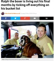 【海外発！Breaking News】バケットリストをこなす余命6か月の犬　「残された人生をハッピーに」（英）