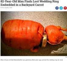 【海外発！Breaking News】畑仕事中に抜け落ちた結婚指輪　3年後、オモシロイ姿で発見される（独）