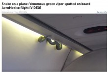 【海外発！Breaking News】フライト中にヘビが出現　機内はパニックに（メキシコ）