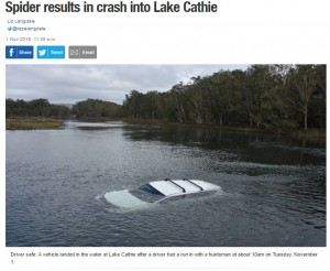【海外発！Breaking News】腕に小さなクモ　クモ恐怖症の男性、パニックに陥り車ごと湖に落下（豪）