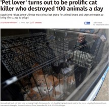 【海外発！Breaking News】「動物愛好家」と偽り、猫の肉を売り捌いていた男を摘発（中国）