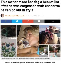 【海外発！Breaking News】がんを乗り越えた老犬のため「バケットリスト」を作り続ける飼い主（米）