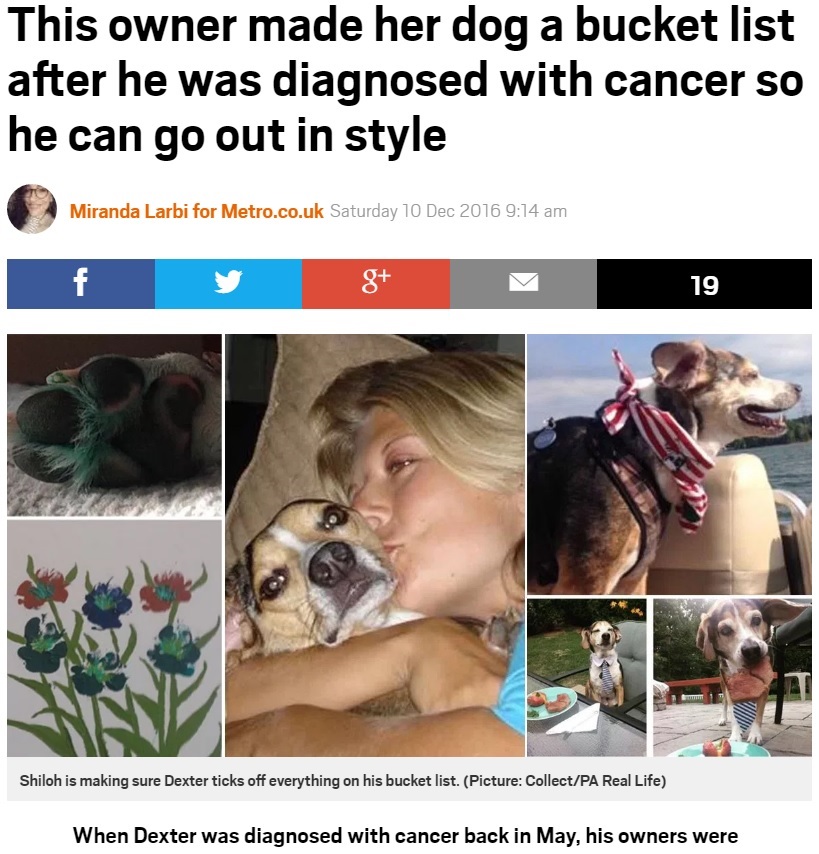 がんを経験した愛犬のためにバケットリストを作成（出典：http://metro.co.uk）