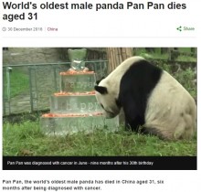 【海外発！Breaking News】子孫は世界に130頭以上　超高齢31歳、最高の“父”パンダが天国へ（中国）