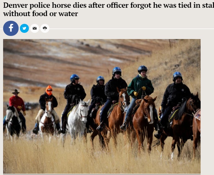 コロラド州騎馬警察隊員、16時間にわたりエサも水も与えず馬を死なせる（出典：http://www.mercurynews.com）