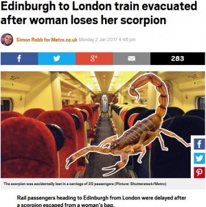 【海外発！Breaking News】列車内にサソリが！　女性客のバッグから逃げ出し、避難する騒ぎに（英）