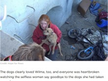 【海外発！Breaking News】「犬たちの幸せのために…」ホームレスカップル、心の支えの犬たちを涙ながらに手放す（米）