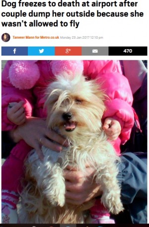 【海外発！Breaking News】犬の搭乗を拒否された夫婦　空港の外に置き去り凍死させる　「悪魔のような夫婦」に制裁を求める署名集まる（露）