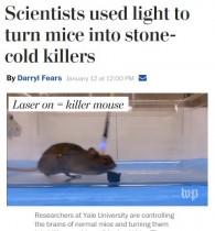 【海外発！Breaking News】脳内スイッチ・オンでいきなり「弱いものイジメ」　米大学研究チームがマウスで実験