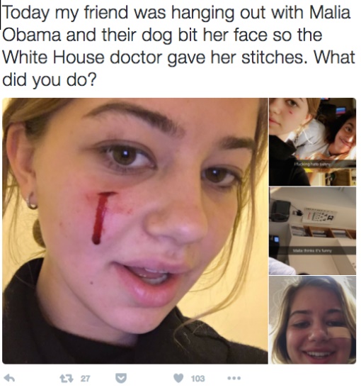 オバマ家の犬に顔を噛まれた女性の写真が拡散される（出典：http://www.dailydot.com）