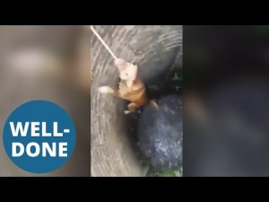【海外発！Breaking News】深さ6mの井戸に落ちた犬　ロープを噛み這い上がる姿にハラハラ（タイ）＜動画あり＞