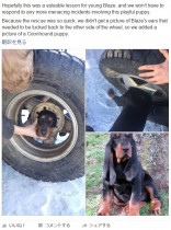 【海外発！Breaking News】タイヤのホイールに頭がスッポリはまった子犬　消防隊員により救出（米）