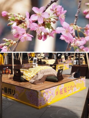 相葉雅紀＆風間俊介の「花見こたつ」を体験　こたつで桜・ビール・グルメを楽しむイベントに行ってみた
