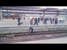 【海外発！Breaking News】ドイツの駅で警察犬が暴れ、線路に女性を突き落とす！