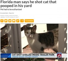 【海外発！Breaking News】「俺のトレーラーに来て臭い糞」　猫、隣人に撃ち殺される　世も末の銃社会アメリカ