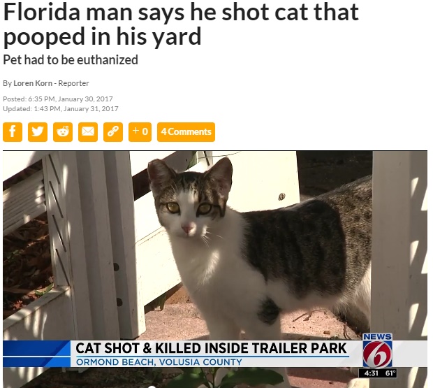 「にらまれたから」フロリダ州で老人が隣家の猫を撃ち殺す（出典：http://www.clickorlando.com）