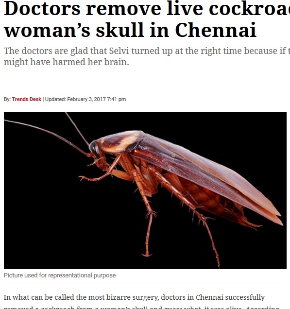 生きたゴキブリが女性の頭部で見つかる（出典：http://indianexpress.com）