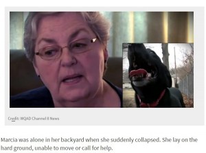 【海外発！Breaking News】脳卒中により庭で倒れた女性　隣家のペット犬が危機を察し命を救う（米）