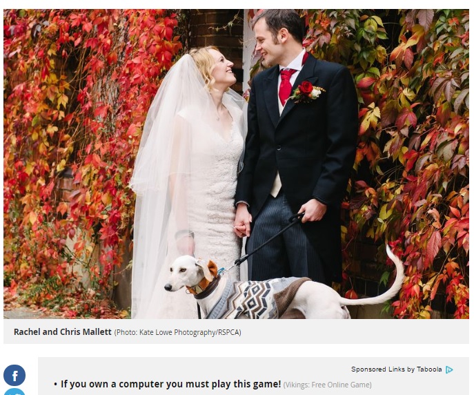 餓死寸前だった仔犬、新しい飼い主の結婚式の介添えに（出典：http://www.mirror.co.uk）