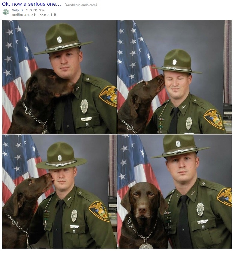 “相棒”が好きすぎてたまらない警察犬（出典：https://www.reddit.com）