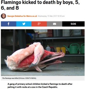 【海外発！Breaking News】5歳から8歳の男児3人、動物園のフラミンゴを虐待死させる（チェコ）