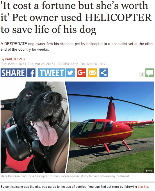 愛犬を救いたい一心でヘリコプターで病院へ（出典：http://www.express.co.uk）