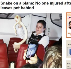 【海外発！Breaking News】ベテランCA、アラスカ上空で大蛇を捕獲！