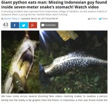【海外発！Breaking News】インドネシアで25歳男性、大蛇に飲み込まれて死亡
