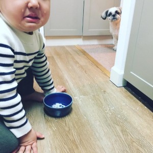 【エンタがビタミン♪】浜島直子　2歳長男と愛犬のほっこりショットに反響　叱られる彼を心配そうに見つめる