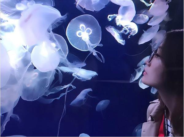 水族館でクラゲを見る大島優子（出典：https://www.instagram.com/minegishi_31chan）