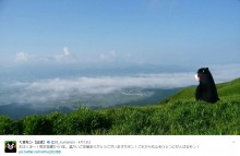 【エンタがビタミン♪】くまモン「心をひとつにがんばるモン！」　熊本を見守る姿に応援ツイート続々
