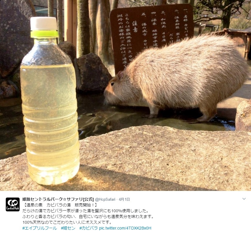 姫センが公開した“温泉の素　カピバラの湯”のイメージ（出典：https://twitter.com/HcpSafari）