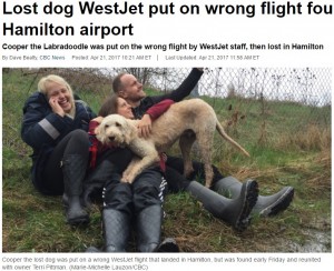 【海外発！Breaking News】ウエストジェット航空、犬を間違った便に乗せる（カナダ）