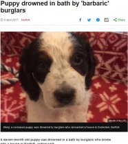 【海外発！Breaking News】非情な強盗　生後7か月の仔犬を浴槽で溺死させる（英）