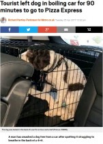 【海外発！Breaking News】室温51度の車内に犬を1時間半放置しピザを食べに行った飼い主（英）
