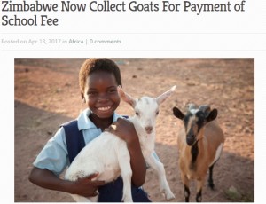 【海外発！Breaking News】授業料を払えない親、政府が家畜や奉仕活動での支払いを容認（ジンバブエ）