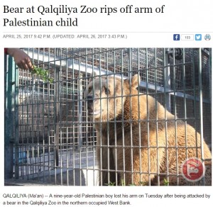 【海外発！Breaking News】遠足で動物園に来た9歳少年、クマに腕を食べられる（パレスチナ）