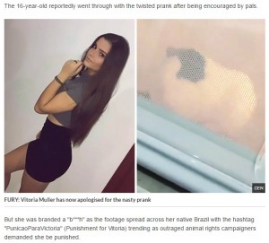 【海外発！Breaking News】モルモットを電子レンジに入れた16歳女に怒りの声殺到（ブラジル）
