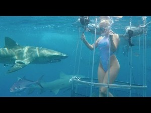 【海外発！Breaking News】フロリダ沖での撮影で米AV女優がサメに襲われる　流血映像も公開
