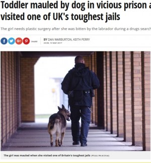 【海外発！Breaking News】刑務所で活躍する薬物探知犬、面会の幼児に襲いかかる（英）