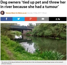 【海外発！Breaking News】「病気だから」とペット犬を川に投げ捨てた飼い主（英）