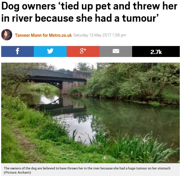 心無い飼い主、川に犬を投げ捨てる（出典：http://metro.co.uk）