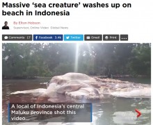 【海外発！Breaking News】インドネシア・セラム島で体長15m謎の生物を発見