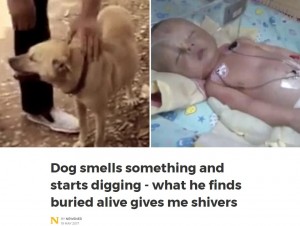 【海外発！Breaking News】森の中で生き埋めにされた赤ちゃん、犬が発見（中国）